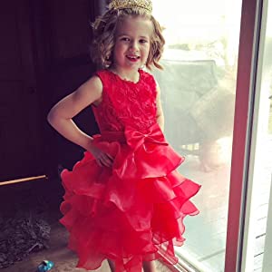 Hot three-dimensional Rose Princess dress multi-layer mesh pompadour skirt Flower child dress lace tutu
