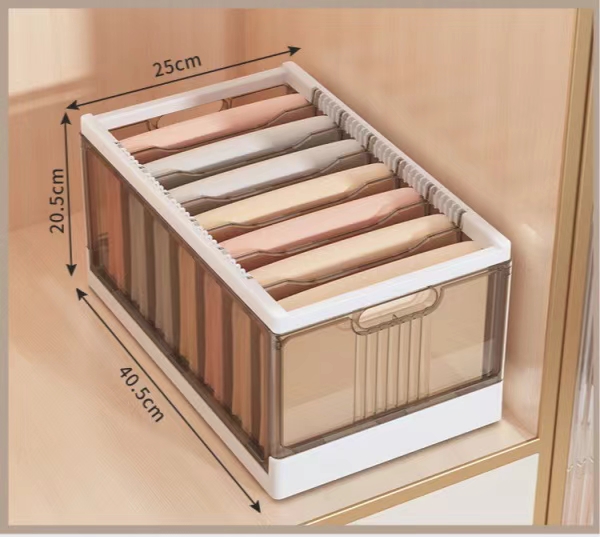 Popular Layered Organization of Clothing Storage Wardrobe (1 Piece)