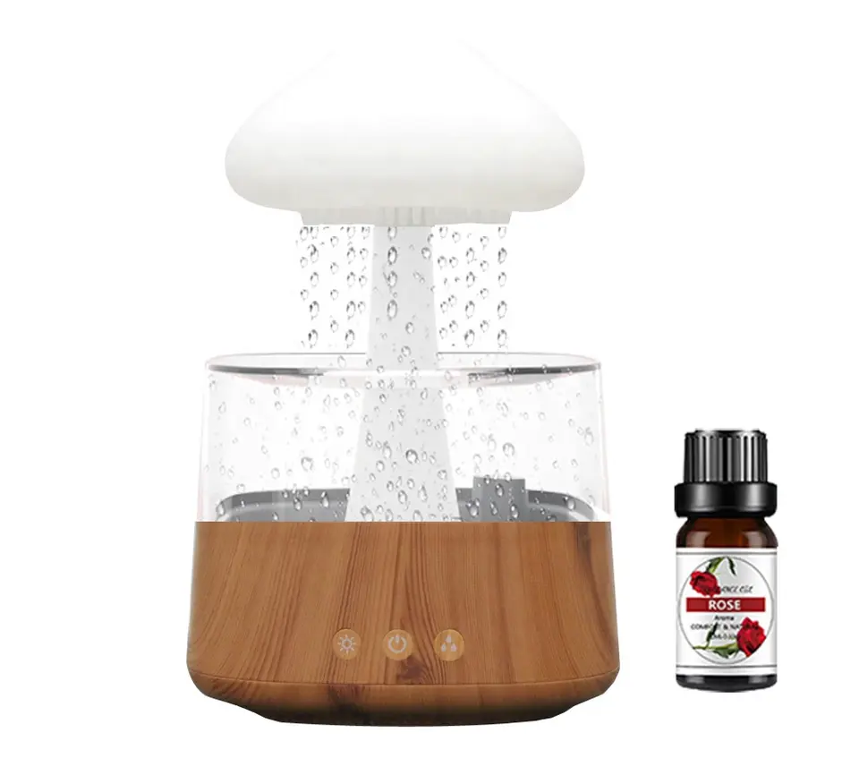 Aromatherapy Cloud diffuser 4-in-1 Meditation humidifier