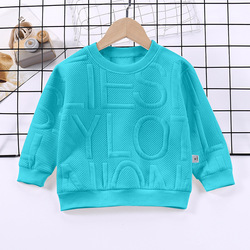 Children's Spring and Autumn Boys' Round Neck Pullover 3D Blank Hoodies High Quality Embossed Hoodie Puff Printing Hoodi
