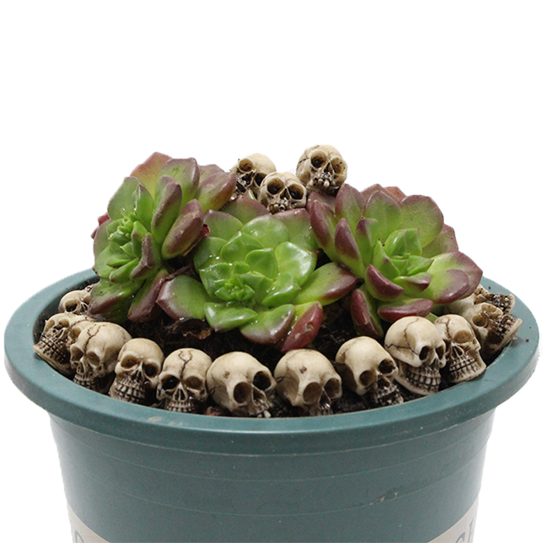 Small Skeleton Ornaments 40pcs Small Resin Skeleton Figurine Halloween Polyresin Skeleton Decorations