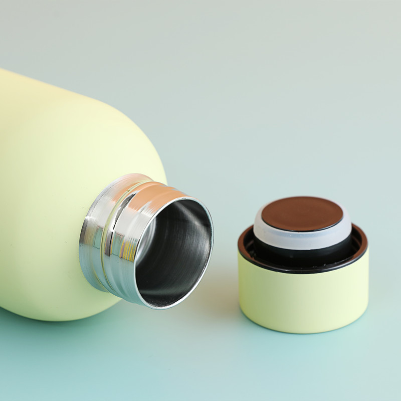 Stainless Steel Insulated Drink Bottle  Water Bottle for Vendors