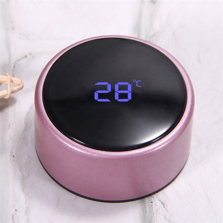 New Unique Double Wall Insulated Vacuum Flask Intelligent Water Bottle with Temperature Display