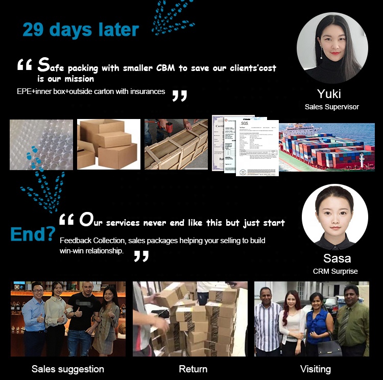 Savall HoReCa star hotel catering Casserole baking bowl bone china porcelain baking cup ceramic baking cup