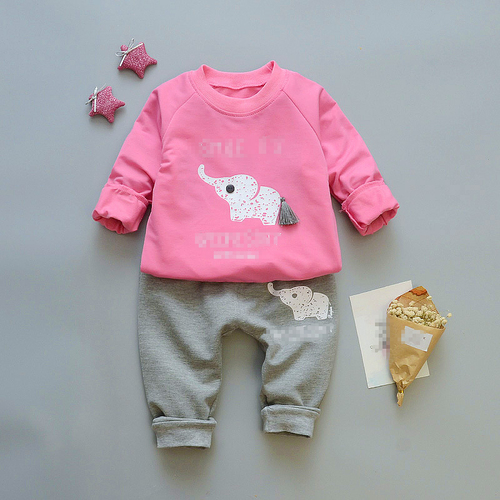 Spring Girl's Clothing Printed Floral Hoodie + Pants 2 Pieces Children's Clothing Suit
