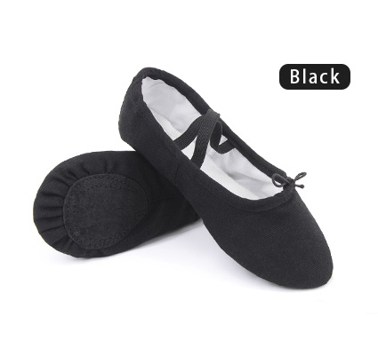 Canvas Split Sole Dance Shoes Women Ballet Shoes