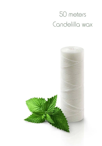 100% Biodegradable Natural Silk Dental Flosser