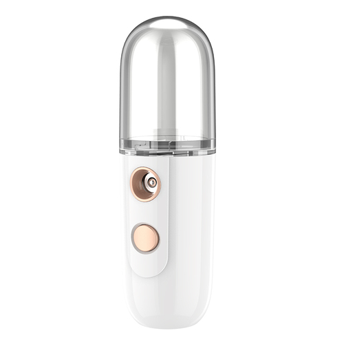  30ml Portable private label facial steamer handy electric fine water alcohol nano mist sprayer