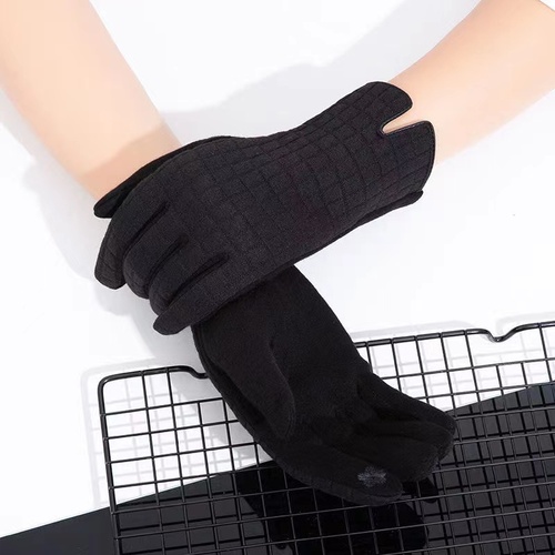 Pai Hao Cheaper Stoke Women Fashion Gloves Winter Elegant Gloves Finger Touch Gloves