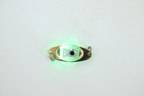 Entice Victory ultra-long shines time 80 hours 5pcs/1 box fishing lure light led underwater flashing light fishing lure