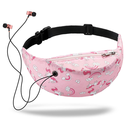 Private Label Water Proof Dog Walking Large Capacity Fanny Pack Waist Bag