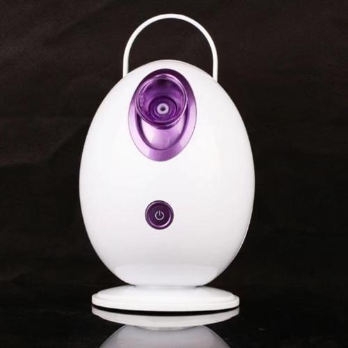 Humidifier Mini Atomizer  Nano Mist Sprayer Facial Steamers Nano face streamer facial steamer Beauty Face Spa Ionic Port