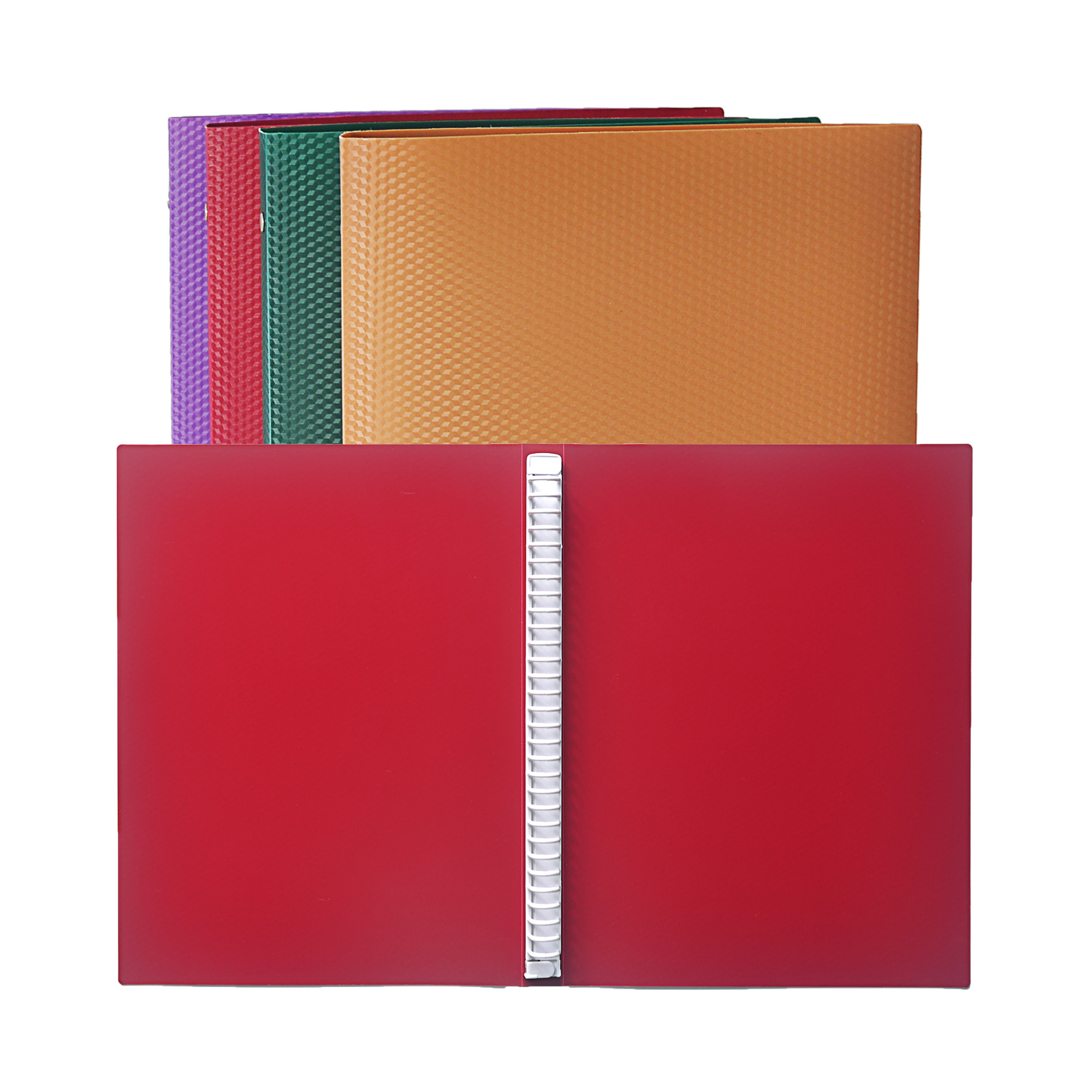 Office Supplies A4 PP Plastic 30 Hole Ring Binder 3D Lattice Document Holder