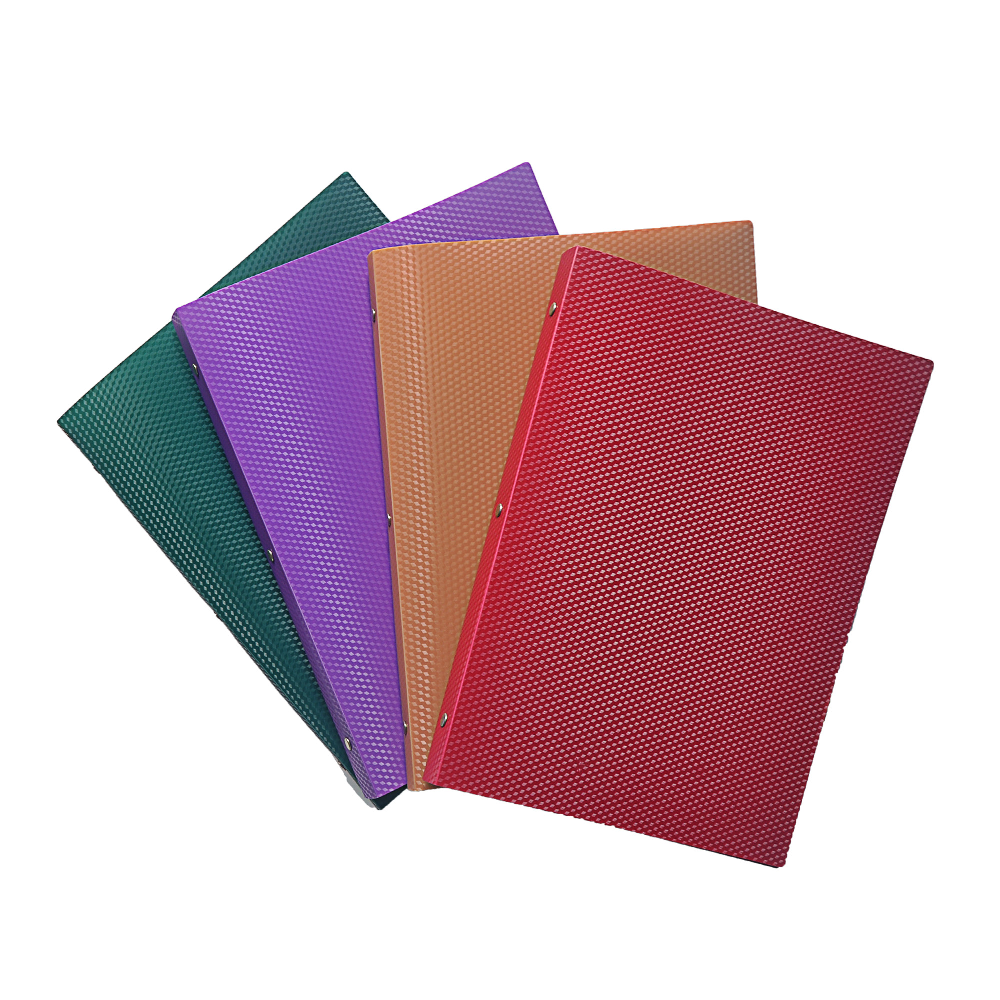 Office Supplies A4 PP Plastic 30 Hole Ring Binder 3D Lattice Document Holder