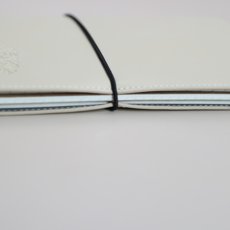 Study Office Necessity Book Agenda Journal Pu Cover Three Books Collections Notebook