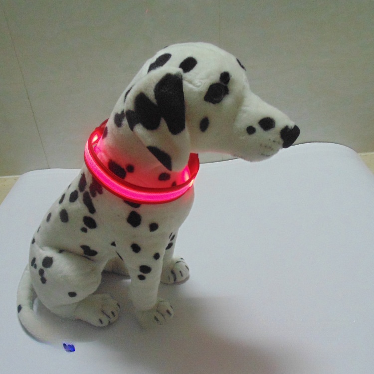 Supply and  LED luminous dog with luminous collar, mixed batch of large, medium and small pet products