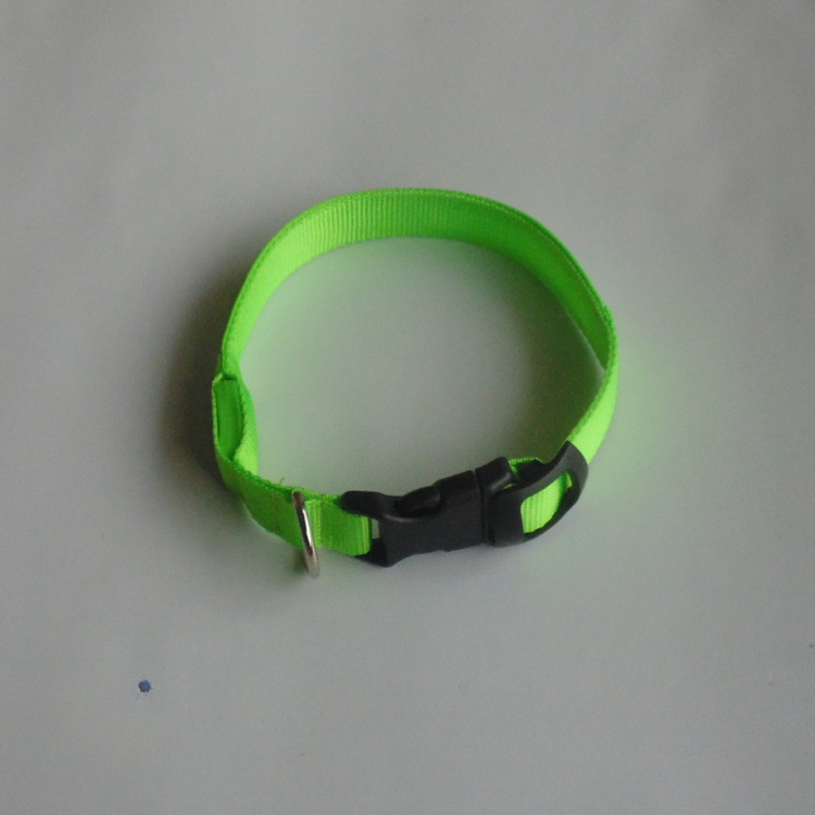 Supply and  LED luminous dog with luminous collar, mixed batch of large, medium and small pet products