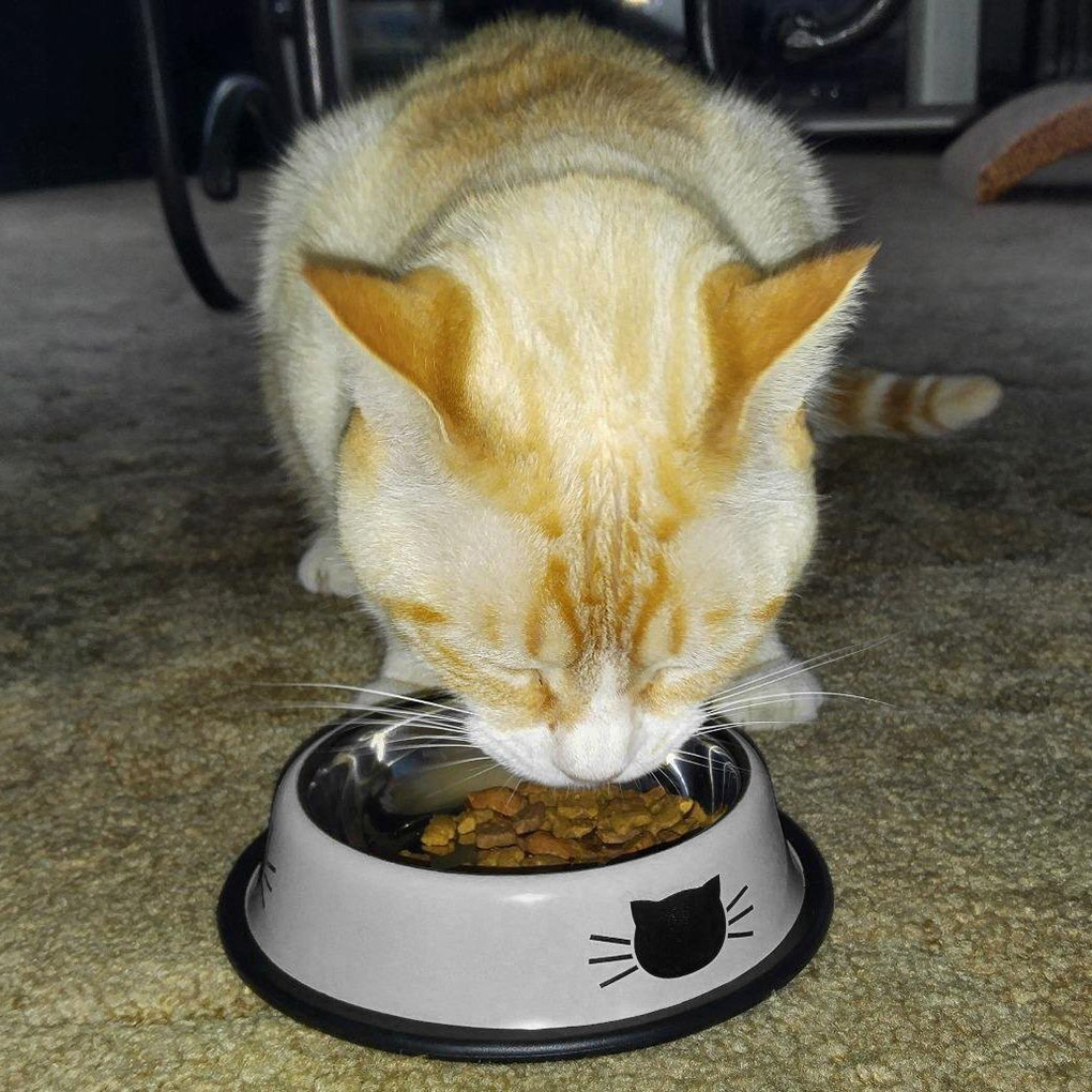 Stainless Steel Cat Bowls Pet Steel Bowl Set Food Water Bowl for Dogs and Cats Anti-skid Feeder Supplies for Small Dogs 