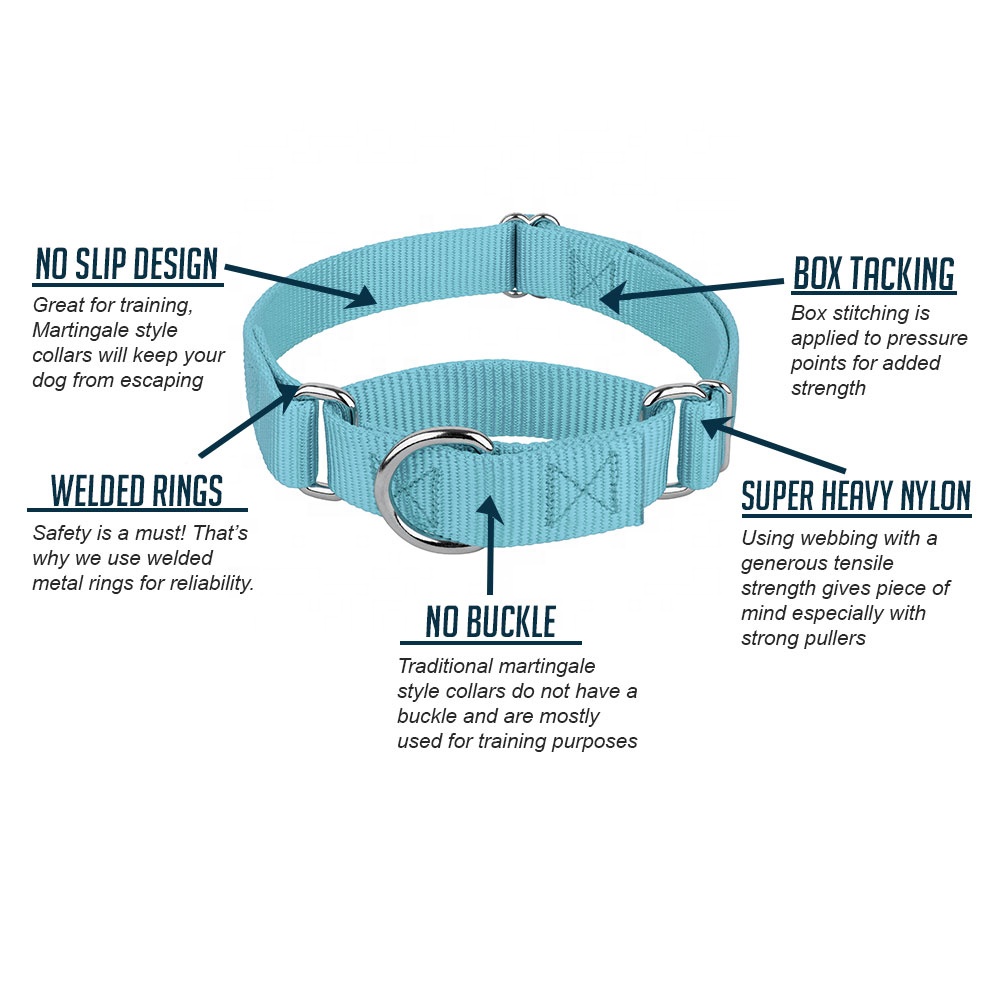Pet Training Supplies Heavyduty Nylon Pet Collars Martingale Dog Collar