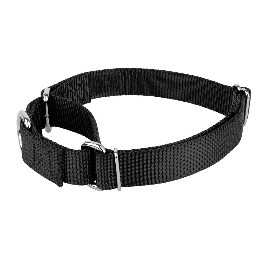 Pet Training Supplies Heavyduty Nylon Pet Collars Martingale Dog Collar