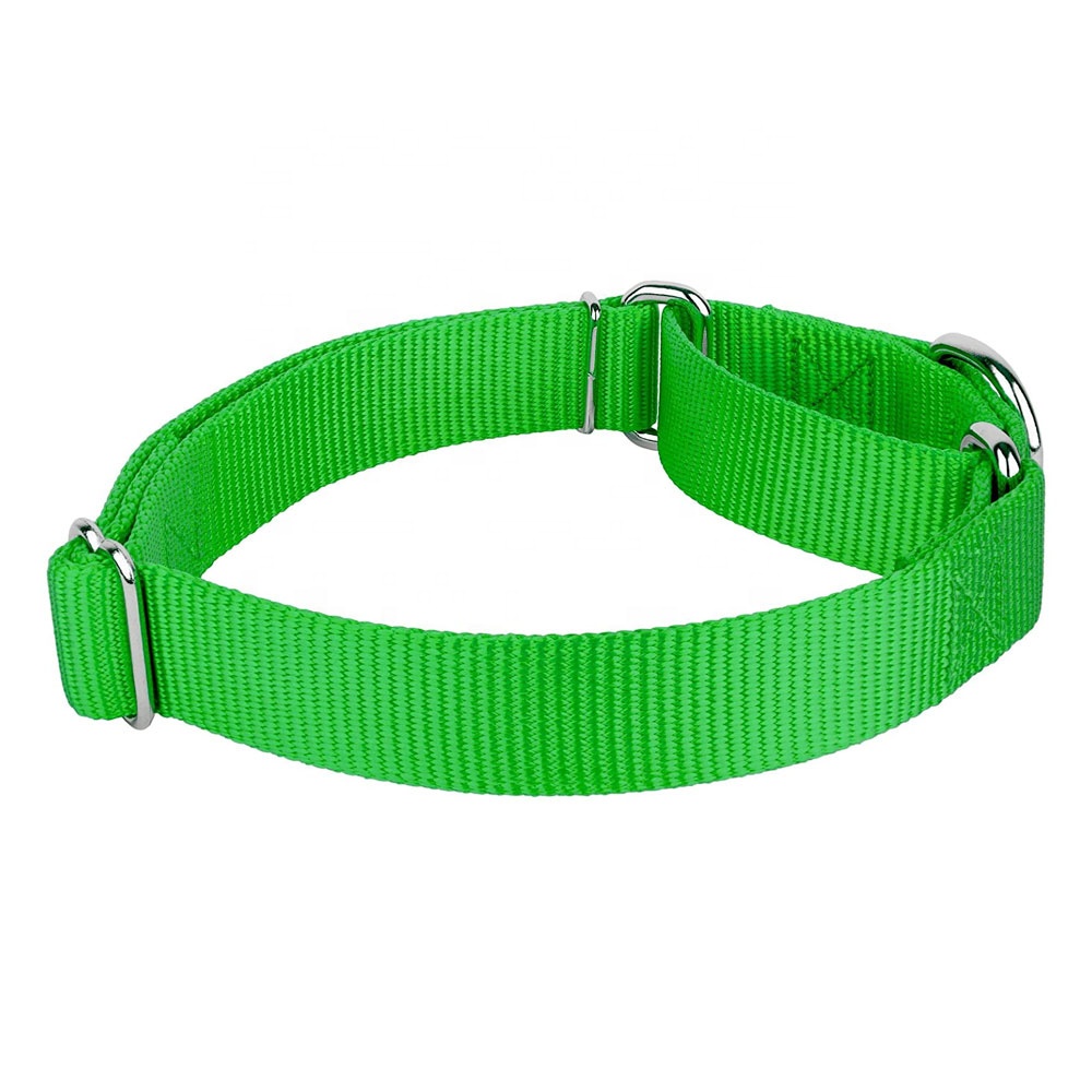 Pet Training Supplies Heavyduty Nylon Pet Collars Martingale Dog Collar