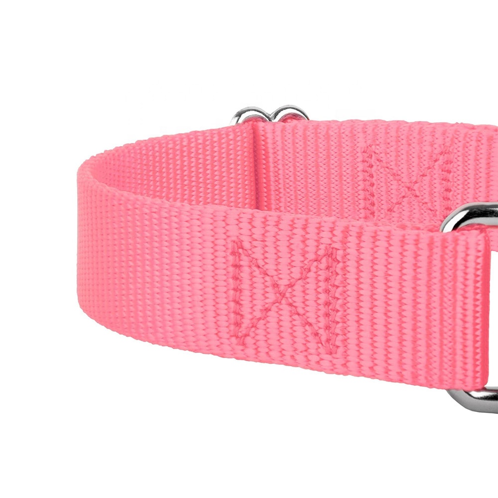 Pet Training Supplies Heavyduty Nylon Pet Collars Martingale Dog Collar