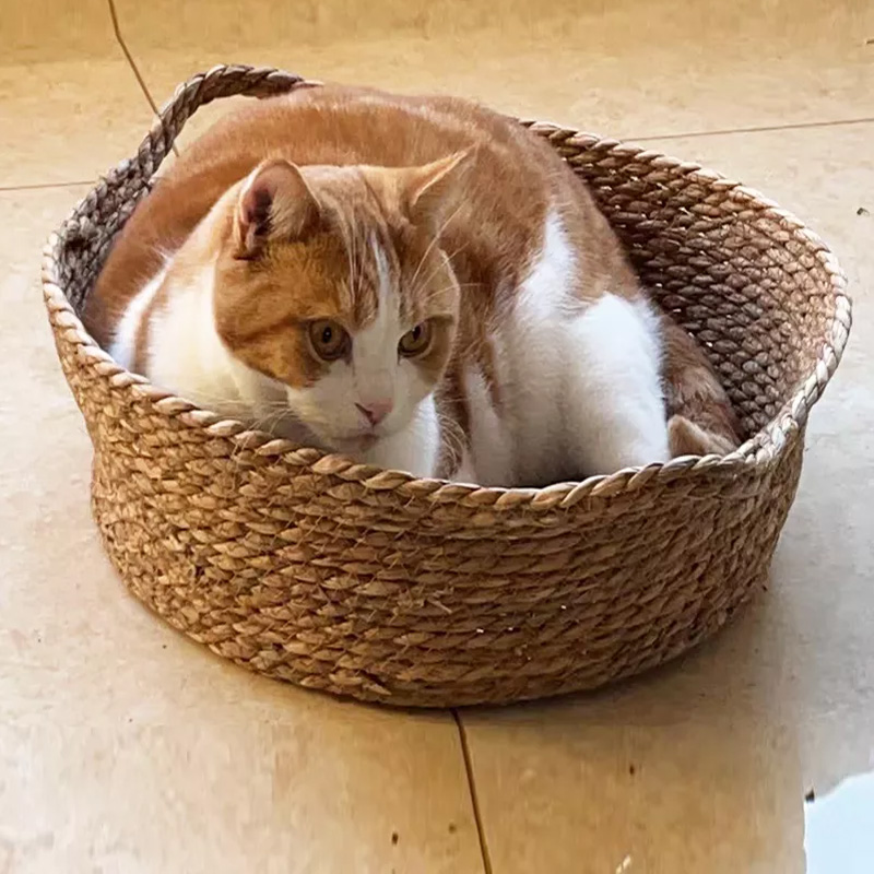 Best-selling Pet Supplies Cat Cotton Rope water hyacinth Basket Bed Donut Cuddler Safe Beds For Cats& dogs