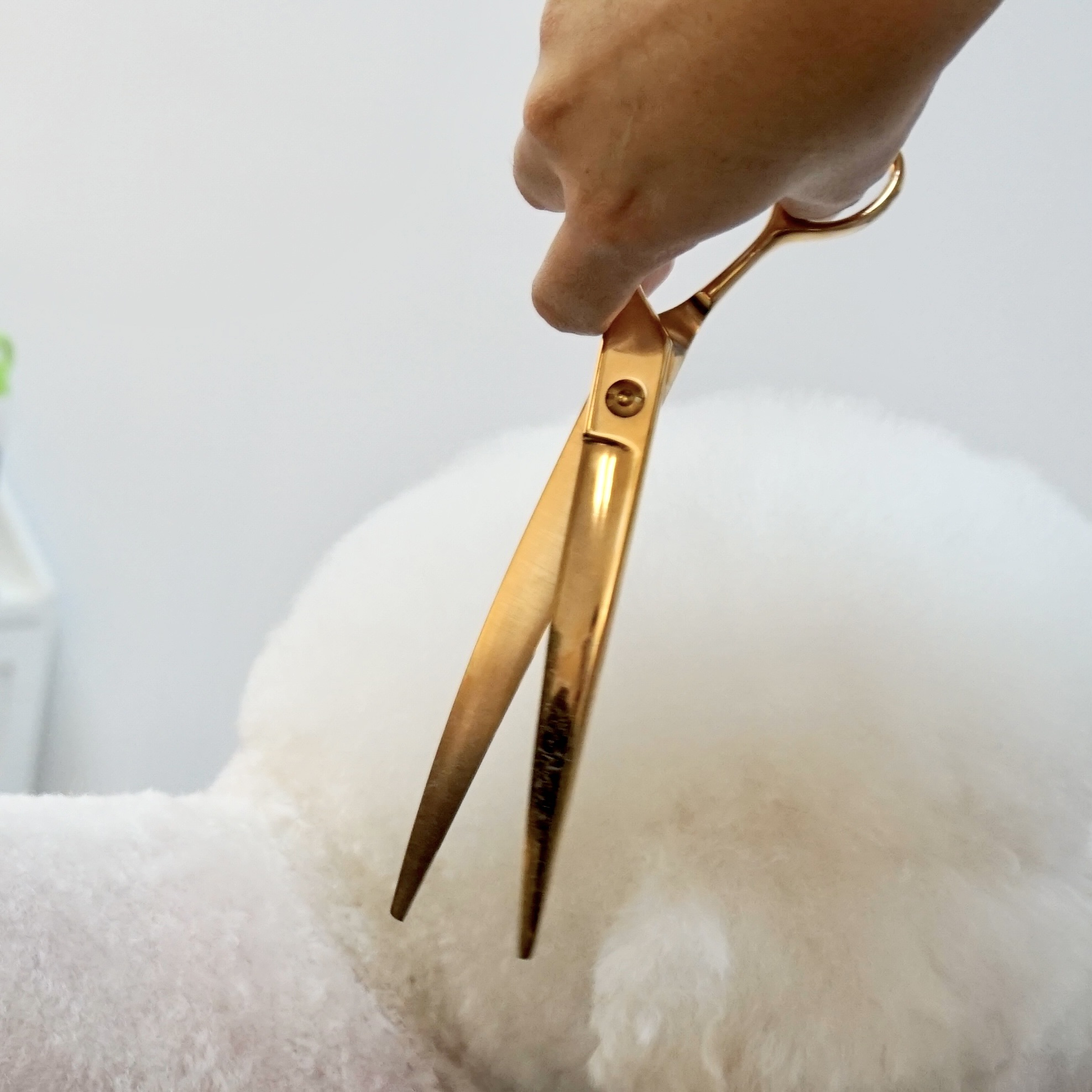 Top Selling 8 Inch Right Hand Rose Blond Offset Pet Hair Cutting Curved Scissors Dog supplies