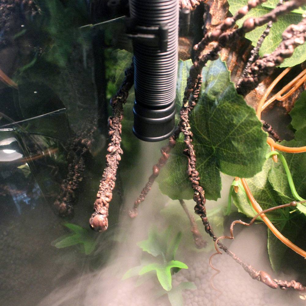  Multifunctional High Quality Turtle Frog Amphibian Reptile Glass Container Atomizer