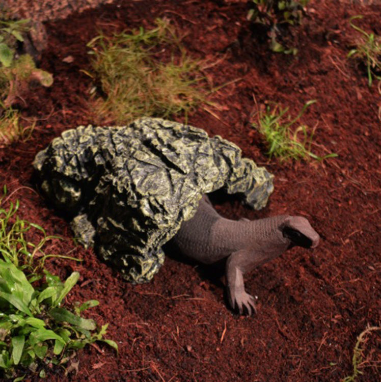 Reptile supplies/live turtle terrace pet climbing platform turtle climbing rockery/water turtle terrace