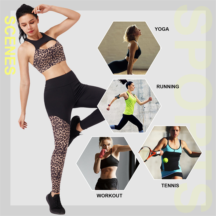 Waistdear  private label high quality sports fitness legging short fitness women seamless yoga sets