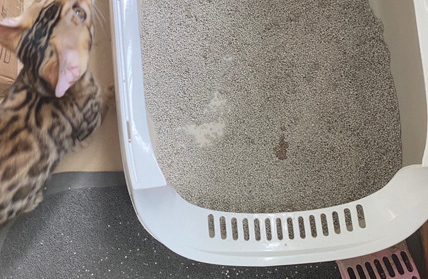 Cat Litter Box Fully Enclosed Anti-splash Cat Toilet Deodorant Pet Cleaning Supplies with Cat Litter