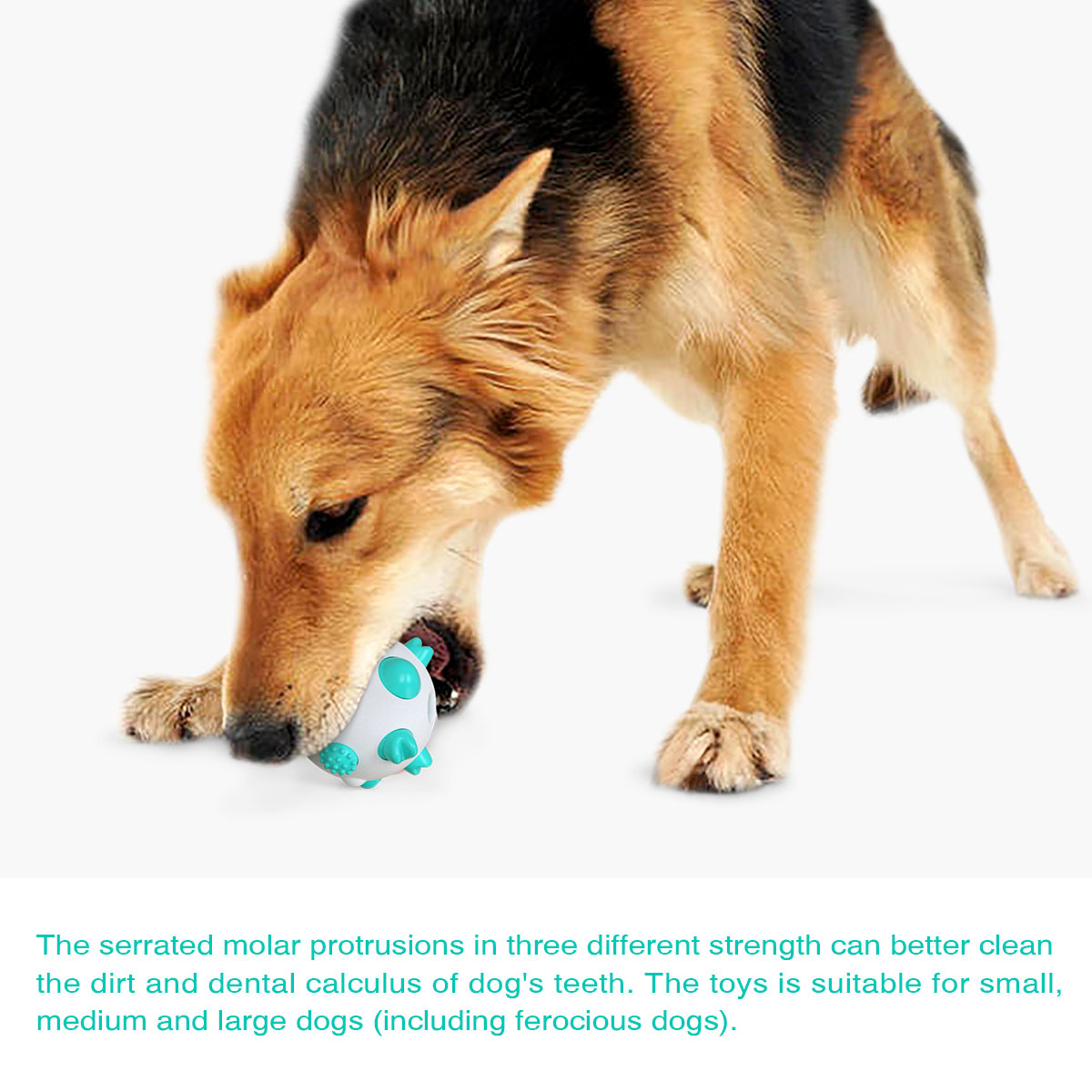 Dog Toothbrush TPR Material Aggressive Chewers  Spherical With Molar Bump To Clean The Dogs Mouth Dog Toys