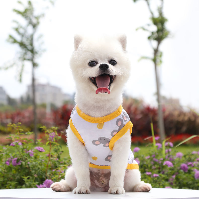 Spring and summer new cartoon teddy bear small and medium-sized dog vest pet clothing supplies