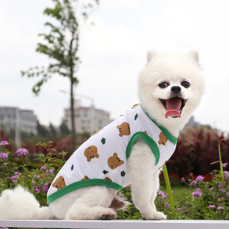 Spring and summer new cartoon teddy bear small and medium-sized dog vest pet clothing supplies