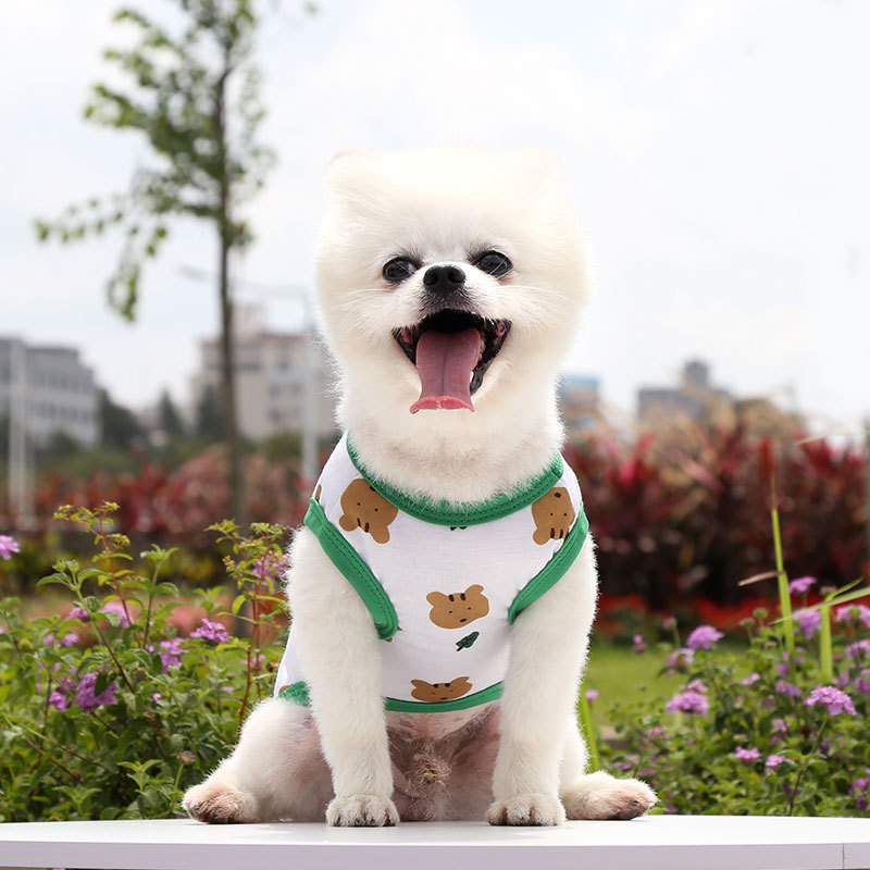 Spring and summer new cartoon teddy bear small and medium-sized dog vest pet clothing supplies