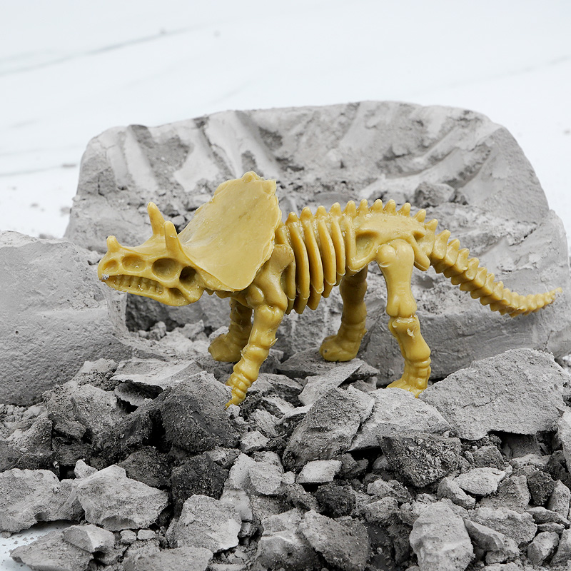 Popular High quality G3606S 12 different dino skeleton assorted PVC kids arts crafts set dinosaur toy painting kit