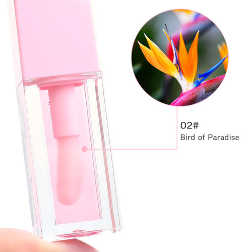 Fruit Flavor Vegan Waterproof Long Lasting Lip Oil