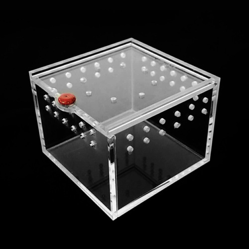 Spider Box Plastic Terrarium Breeding Case For Gecko Lizard Scorpion Unicorn Insect Black Acrylic Reptile Cage