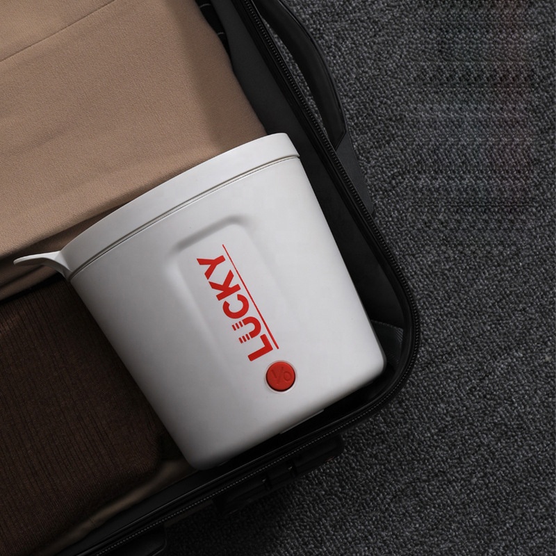 Multifunctional Electric Cooker 0.8L Capacity Fast Heating 500W Electric Cooking Pot Desktop Mini Hot Pot Portable Skill