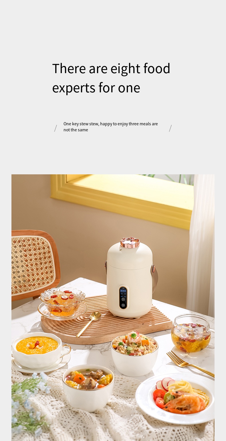 Portable Electric Cooking Pot Small Portable Electric Mini Multi Cooker Electric Skillet Cooking Pot With Steamer For Ou