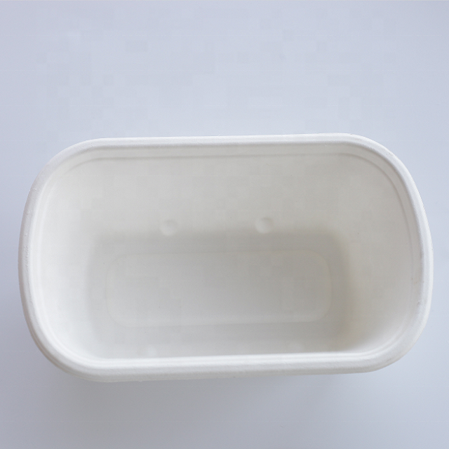 750ml Biodegradable Disposable Sugarcane bagasse food container Pulp Paper Lunch Box