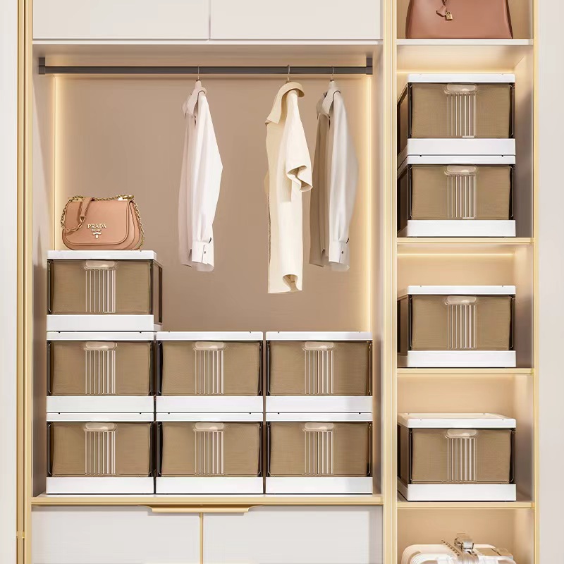 Popular Layered Organization of Clothing Storage Wardrobe (1 Piece)