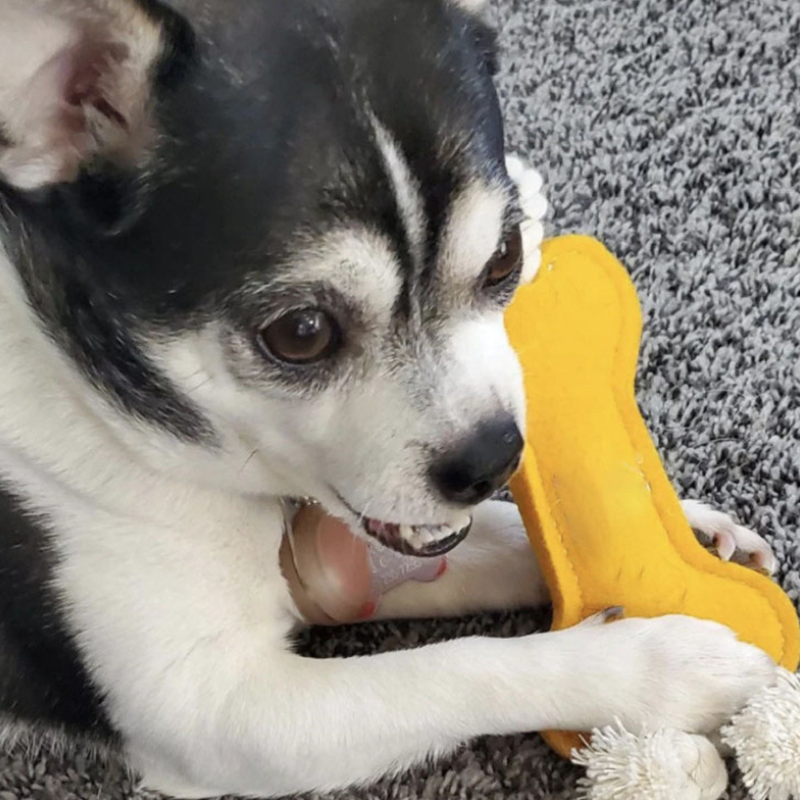 Interactive Felt Dog Bone Tug Toy Cute Rope Puppy Toy for Aggressive Chewers ( 4 Pieces )