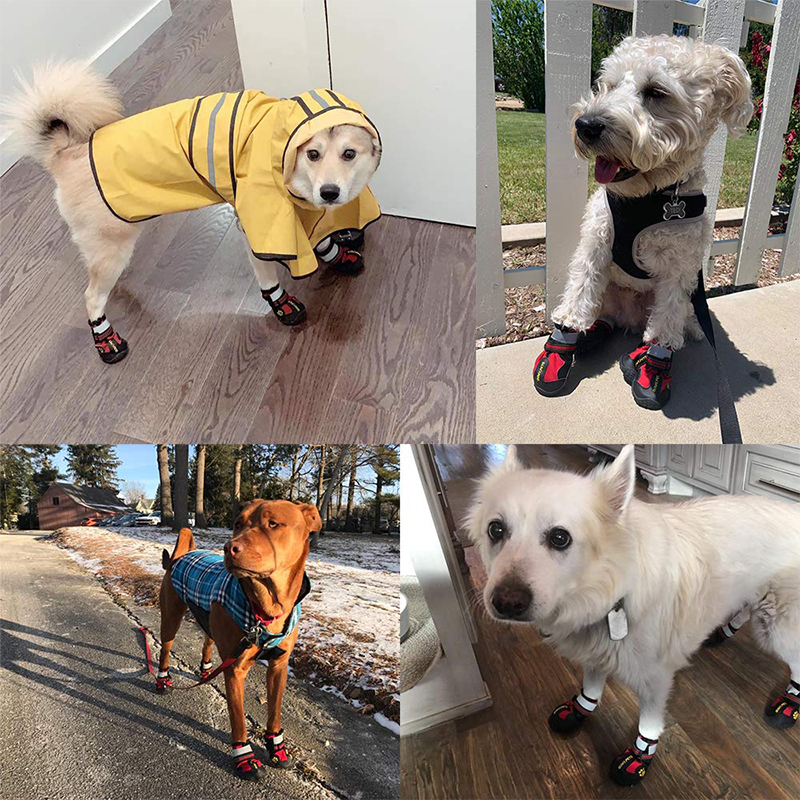 high quality cute silicon paw raining big waterproof small pet dog shoes