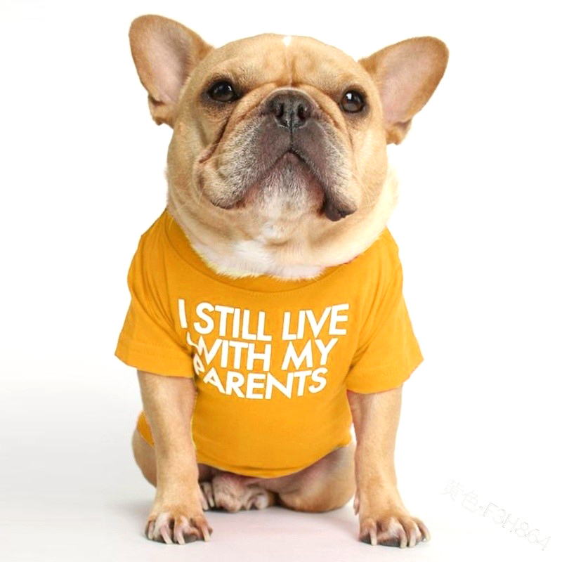 Pet Apparel Breathable Cotton Round Neck Pullover Dog Winter T Shirt with Charm