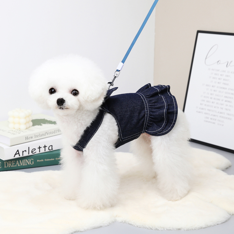 Trendy Denim Skirt & T Shirt Dog Dress Fashion Pet Harness for Small Dogs & Cats, Princess Costume for Puppy