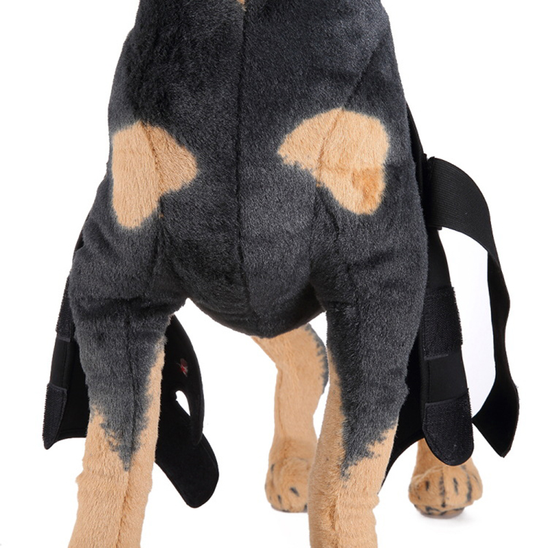 Small Medium Large  Professional dog boots Leg Protector dog brace Dog Knee Brace Paw Brace