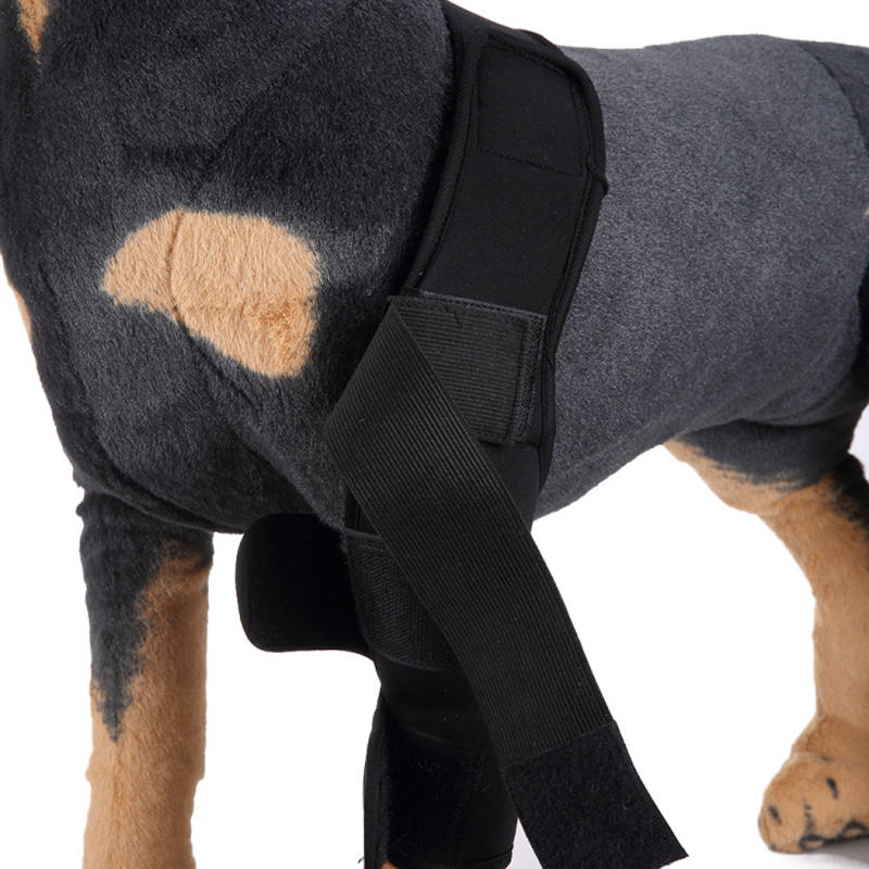 Small Medium Large  Professional dog boots Leg Protector dog brace Dog Knee Brace Paw Brace
