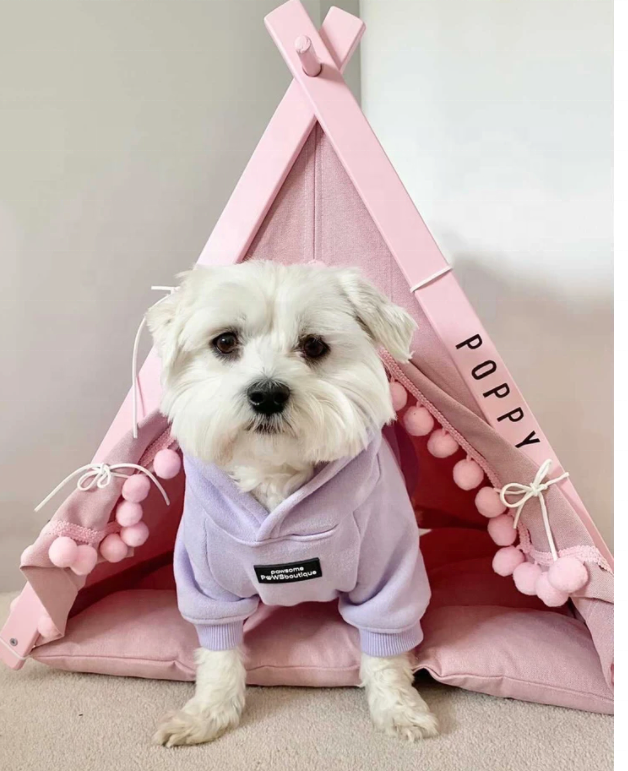  Cotton  Dog Clothes Colorful Blank Dog Hoodie Sweater